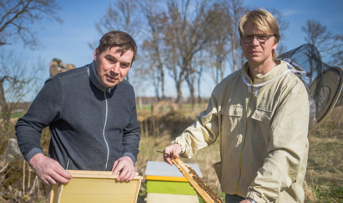 Nii viljakasvataja Madis Ajaots kui mesinik Jaan Eensaar leiavad, et põllumeeste ja mesinike sõbralik kooseksisteerimine on võimalik.