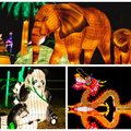 ВИДЕО: На Певческом поле появятся гигантские световые скульптуры