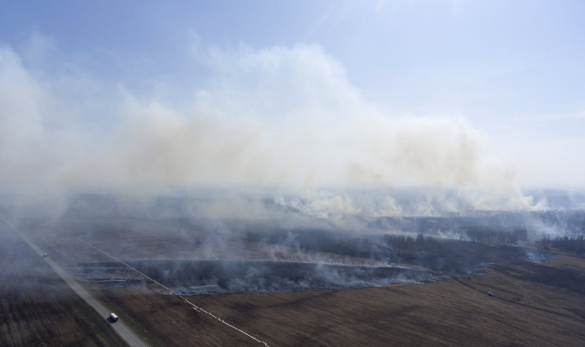 23. aprill 2020: rohi põleb Venemaal Novosibirski piirkonnas (Foto: Kirill Kukhmar / TASS, Scanpix)