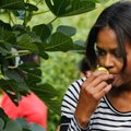 Michelle Obama kutsub tervislikult toituma läbi räpiloo
