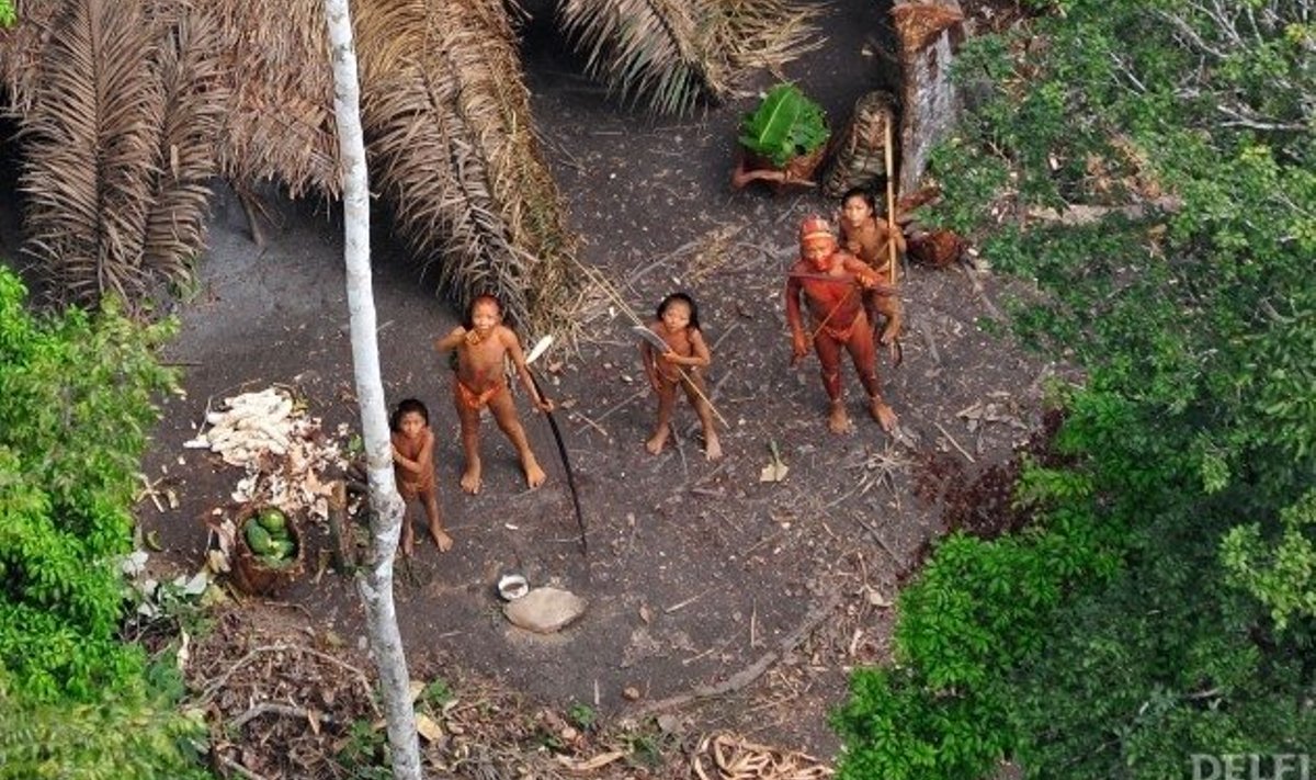 Peruu piiri ääres avastatud hõimlased. Foto Gleison Miranda, AFP
