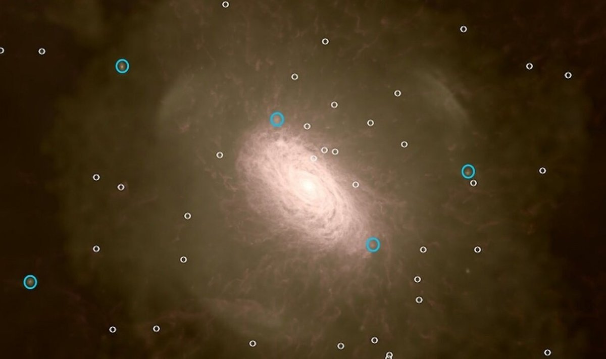 Arvutimudelis moodustunud Linnuteed meenutav galaktika. Sinisega tähistatud galaktikad on noored ja eredad, tuhmimad galaktikad iidsed.