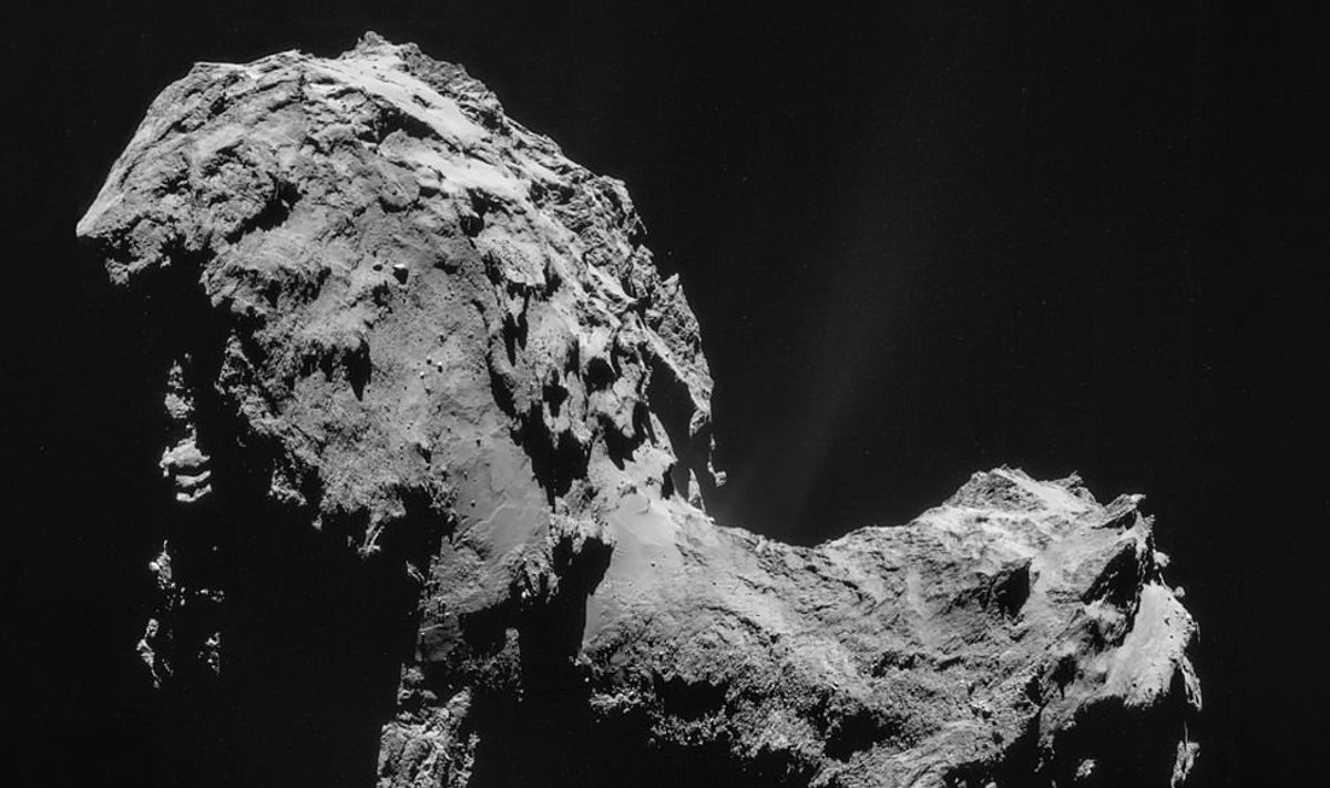 Komeet võib Rosetta poolt vaadates meenutada veidi ka ratsut.