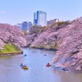 Lenda kirsipuude õitsemise ajaks Jaapanisse! Edasi-tagasi lennud Tallinnast Tokyosse alates 490 eurost