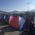 В Греции предупредили о вероятной смерти десяти тысяч беженцев