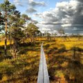10 самых интересных мест в Эстонии для осенних путешествий