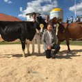ФОТО | Разрешите представить: лучшие коровы Эстонии - Мара и Мароола