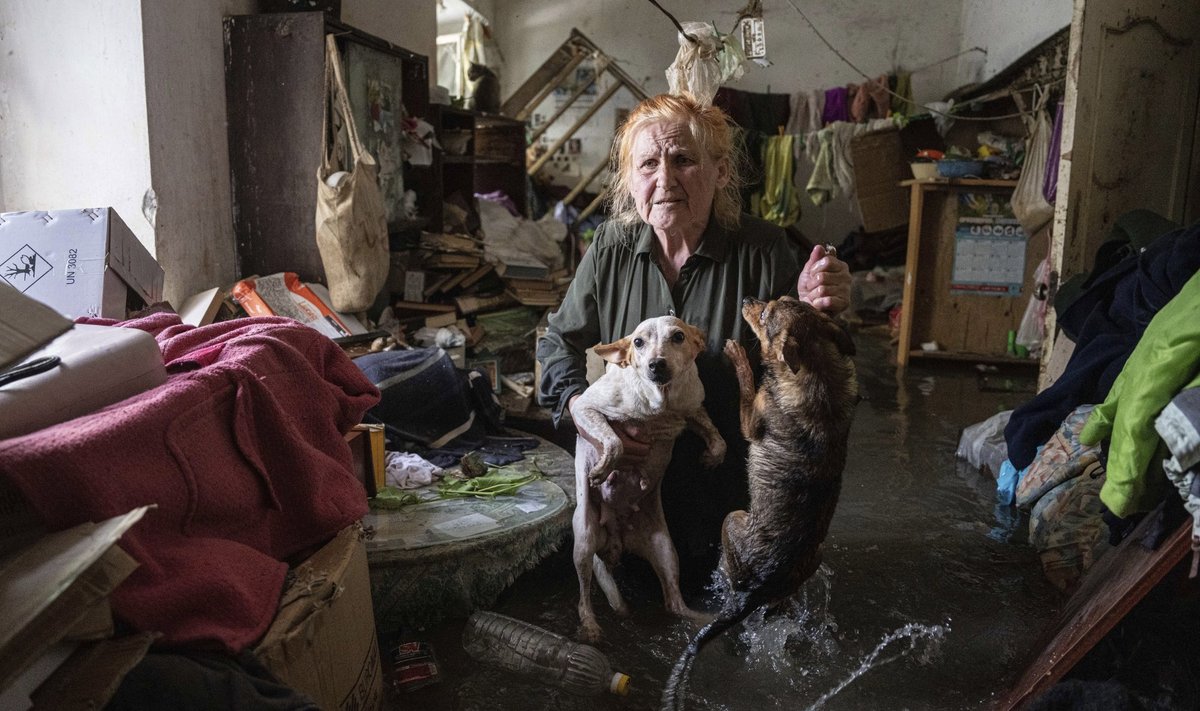 VEEUPUTUS: Hersonis elav Tetjana päästab oma koeri tulvavee käest.