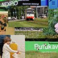 Vaata, mida Tallinn Euroopa rohelise pealinna aastal teinud on