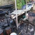 FOTO | Jõgevamaal läks hooletust grillimisest põlema elumaja kõrval asunud puiduhunnik