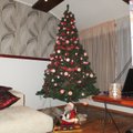 FOTOD: Vaata, millised näevad välja Delfi lugejate jõulupuud
