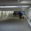 Куда ушли городские деньги: в туннеле на площади Вабадузе открылась выставка