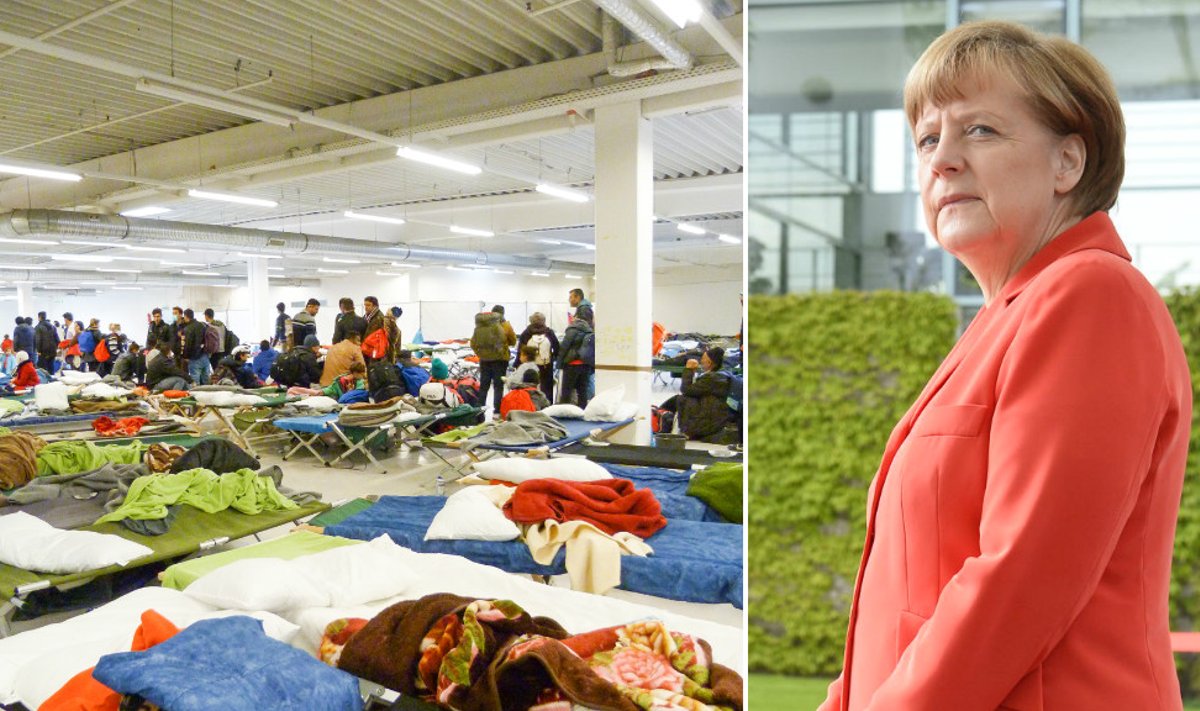 pagulased, Angela Merkel