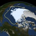 Arktilise merejää ulatus on suvise sula lõpus rekordiliselt madal