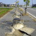 ARVUSTUS: Roger Mussoni raamat "Maavärin" on põnev sissejuhatus maavärinate teadusesse