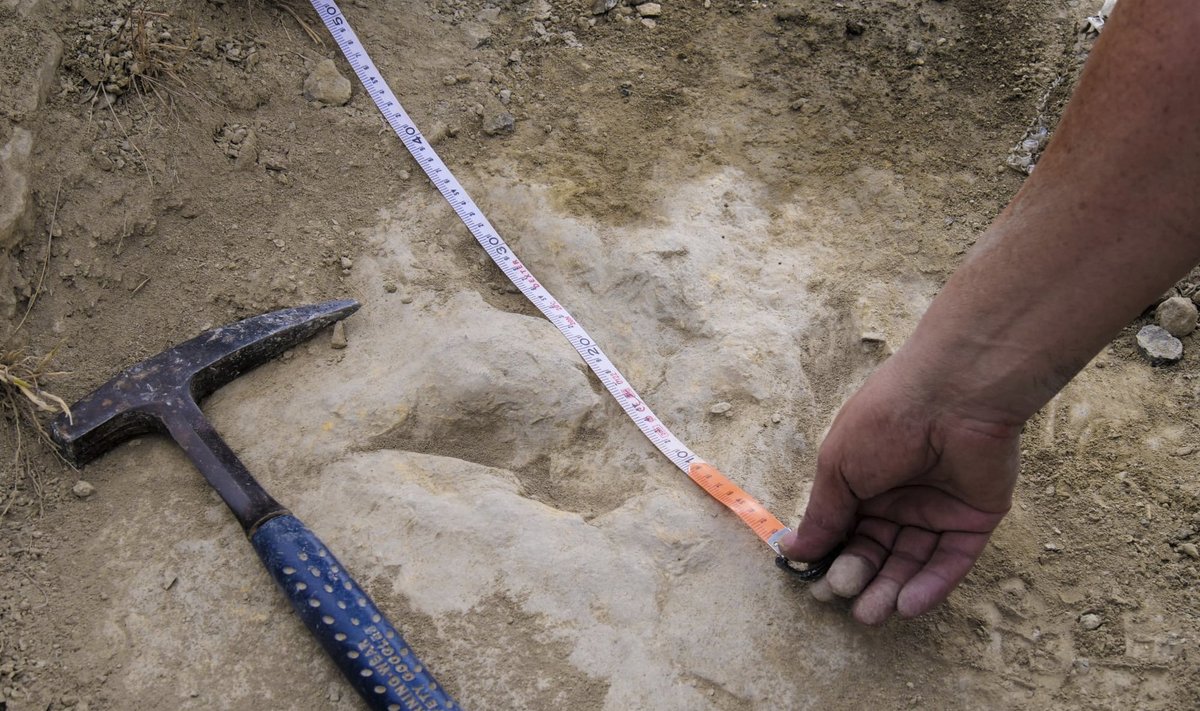 Fast Dinosaurs Footprints