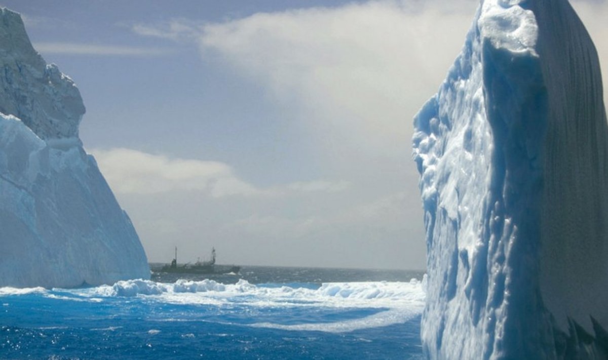 jäämäed Antarktika rannikul