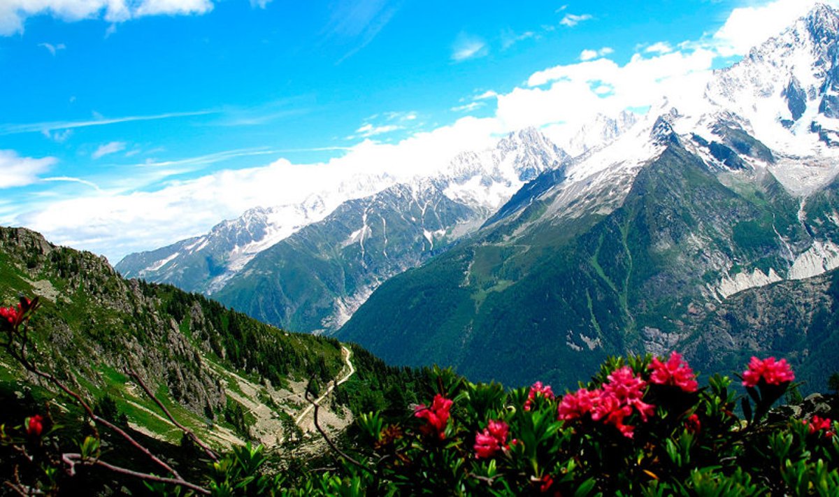 Lummav panoraam: Alpide kõrgeim tipp Mont Blanc ulatub 4810 meetrini, enam kui kolmekilomeetrisi mägesid on aga tervelt 537.