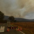 Austraalia võsapõlengute tõttu kuulutati hädaolukord välja pealinnas Canberras