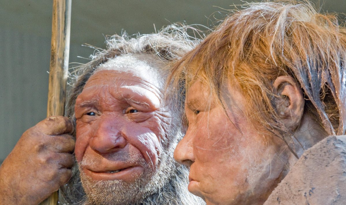 Neandertali mehe ja naise rekonstruktsioon Saksa muuseumis. 