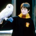 VAATA, kuidas tähistab Facebook Harry Potteri 20. aastapäeva