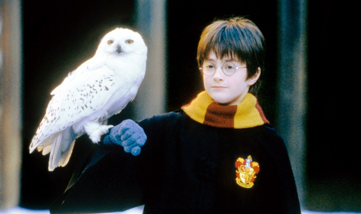 Harry Potter ja tarkade kivi, 2001
