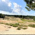 ФОТО | Чудеса Эстонии: в поисках горловой лягушки в заповеднике Ляэнемаа Суурсоо