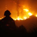 Более 100 человек пострадали в результате лесных пожаров в Калифорнии