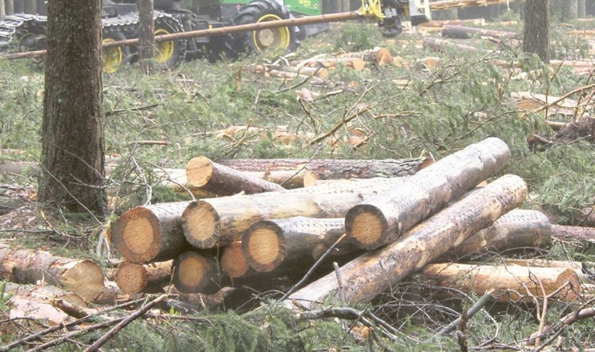 2012. aastal müüs RMK metsamaterjali 121,2 miljoni euro eest, 2011 oli see arv 121,7 miljonit eurot.