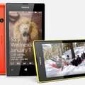 Nokia Lumia 525: järglane seni kõige edukamale Windows Phone'i telefonile