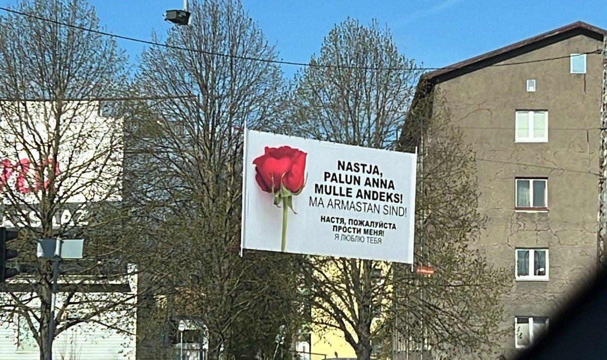 Plakat Nastjale.