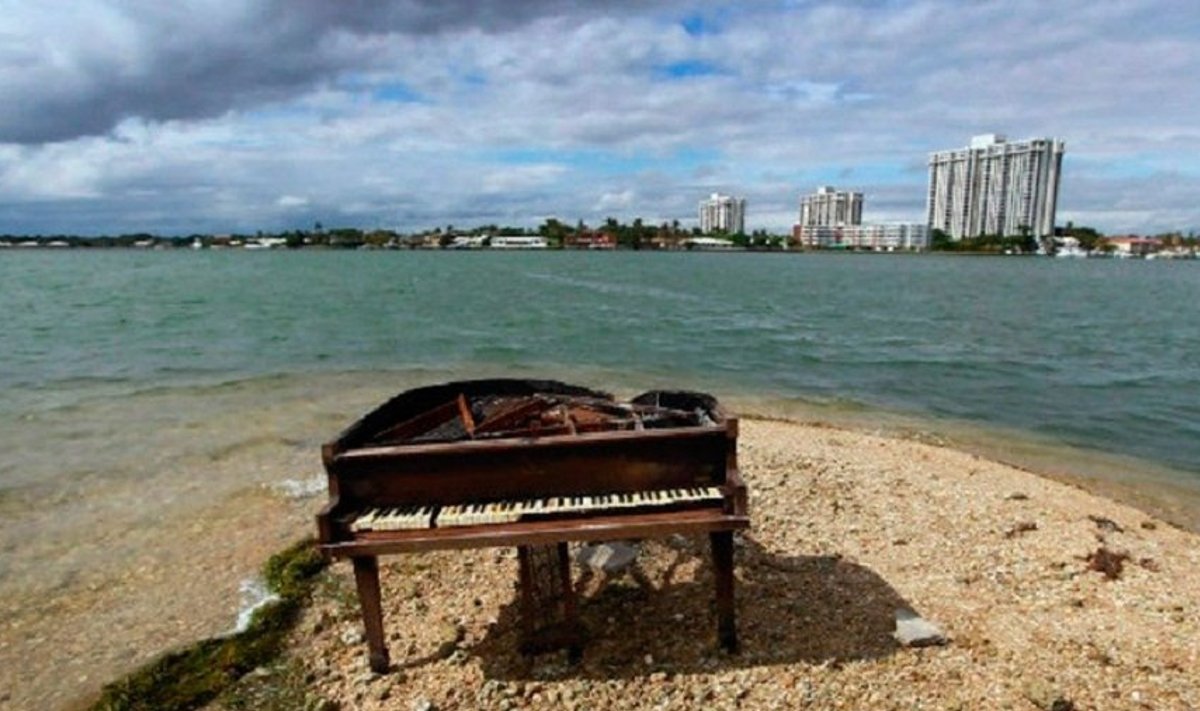 Это выглядит скорее как обложка к музыкальному альбому, но нет! В 2011 году именно рояль, а не письмо в бутылке, появился на пляже Майами после шторма.