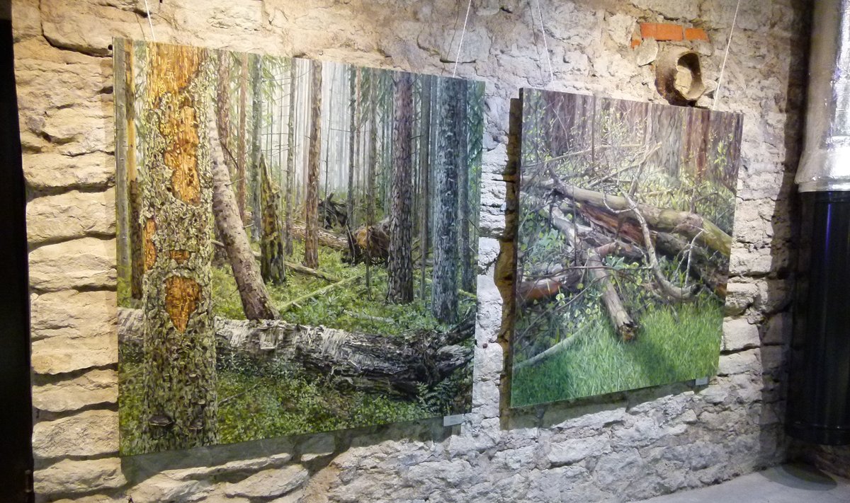 Jane Remmi maalid rägastikest Tallinnas Kultuurikatlas olnud näituselt.