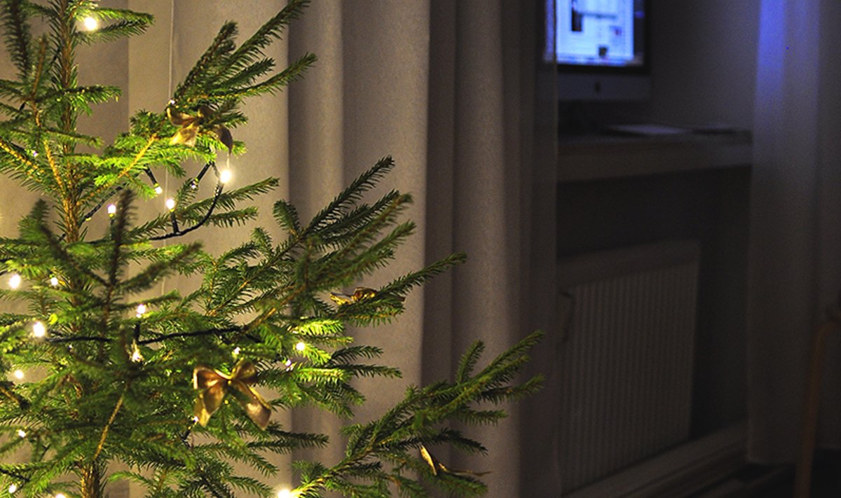 Fotovõistlus “Pühad minu kodus”: Minimalistlik ja roheline jõulupuu