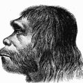 Osa neandertallasi ei tundnud mõru maitset