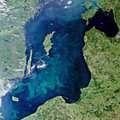 В Балтийском море распространяются опасные для людей токсичные водоросли