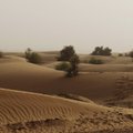 Sahara kõrb oli aastatuhandete eest väga erinev paik