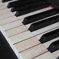 На рояль для музыкальной школы Славянска собрали 34 467 евро