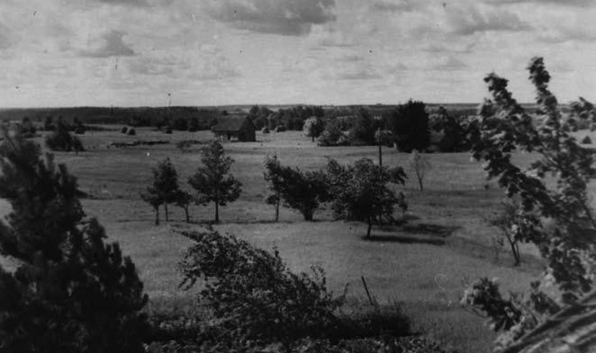 Vaade meie maja katuselt Hallistes juulis 1954. Aia ääres näha sideliini post, keskel perekond Jakobite pooleliolev maja, taamal üle jõeoru Lopa talude põllud