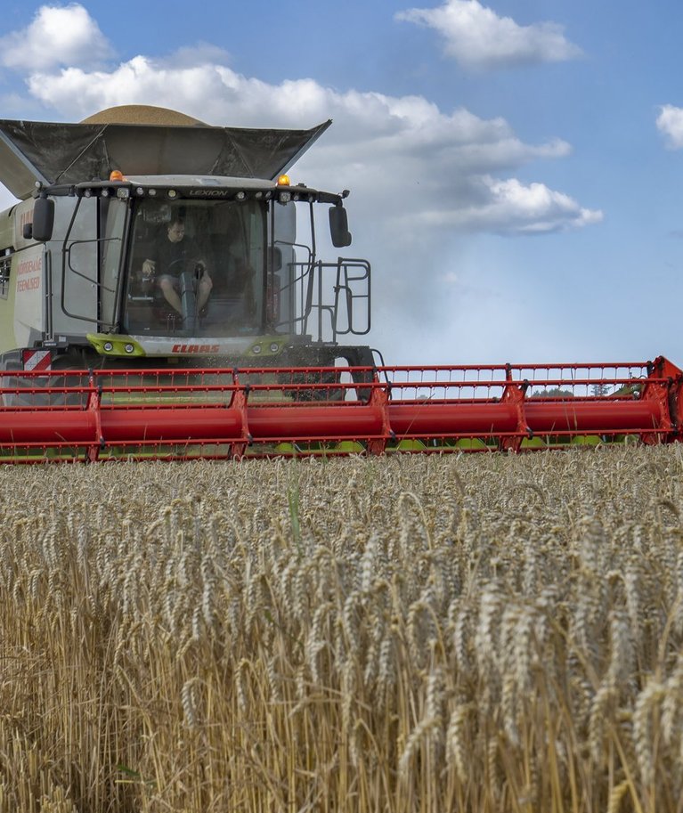 Eestist on 30 aastaga saanud nisukasvatusmaa.