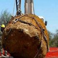 Гигантский метеорит найден в Аргентине