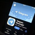 Подростковые Telegram-каналы призывают к насилию. С этим можно бороться?