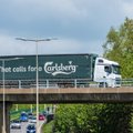 Carlsbergile määrati Saksamaal õllehinna kokkuleppimise eest hiigeltrahv