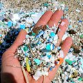 Mikroplastikud on päriselt inimestele ohtlikud: need suurendavad infarkti- ja surmariski