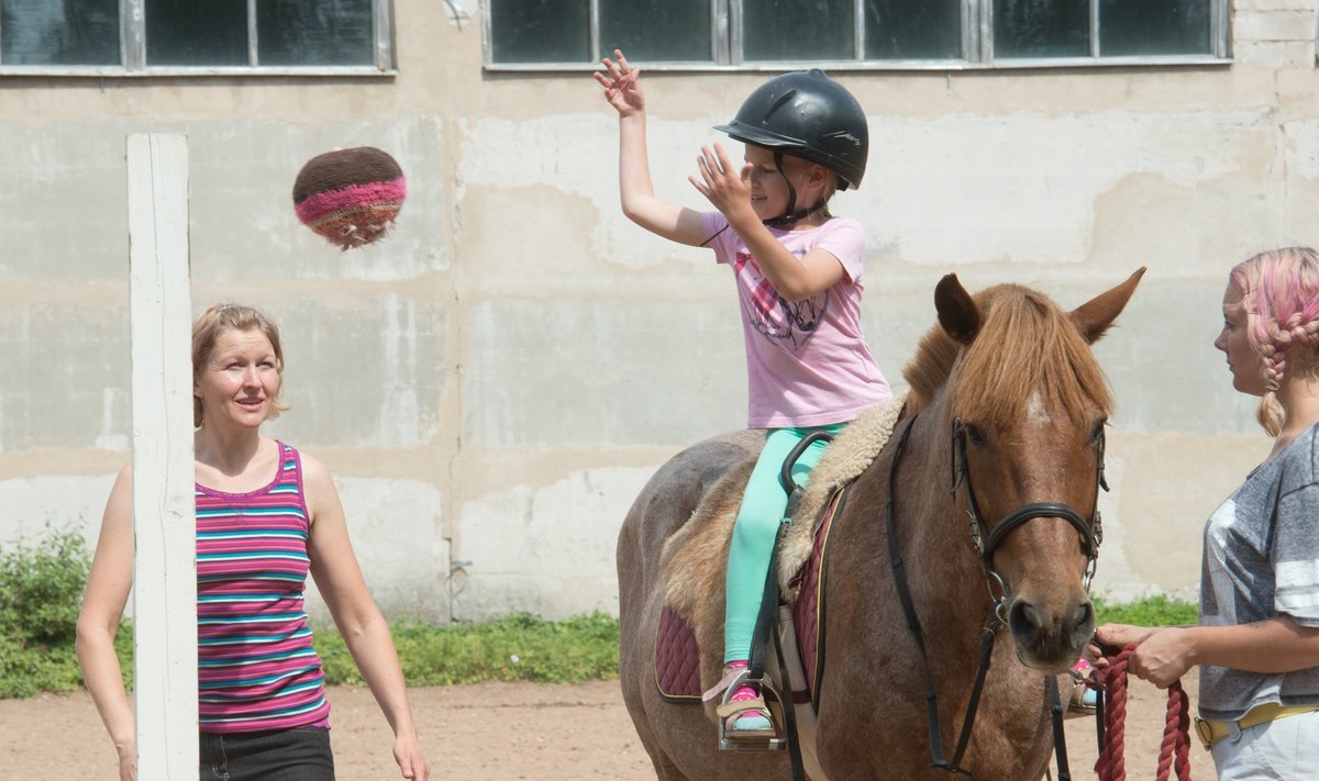 Eestis koolitab teraapiahobuse välja terapeut. Hobune peab olema rahulik ja teraapiavahendite kasutamisega harjunud.