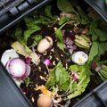 Biokompostimisest - miks, mida, valearusaamad, kas osta kast või ehitada ise