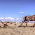 FOTOD | Vanadest põllutöömasinatest valmivad kunstniku käe all imelised skulptuurid