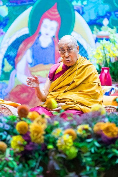 Dalai Lama Riias 2017