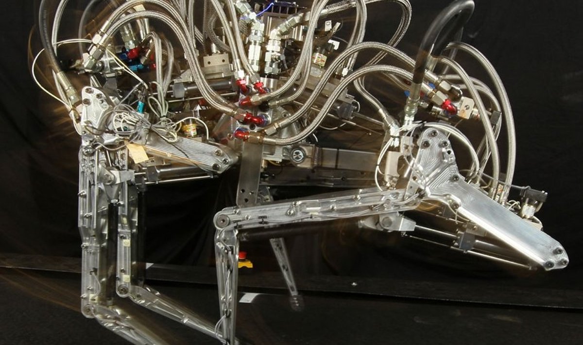 6. IX saavutas USA kaitseministeeriumi teadusagentuuris DARPA ehitatud neljajalgne robot Cheetah ("gepard") jooksukiiruse 45,5 km/h.