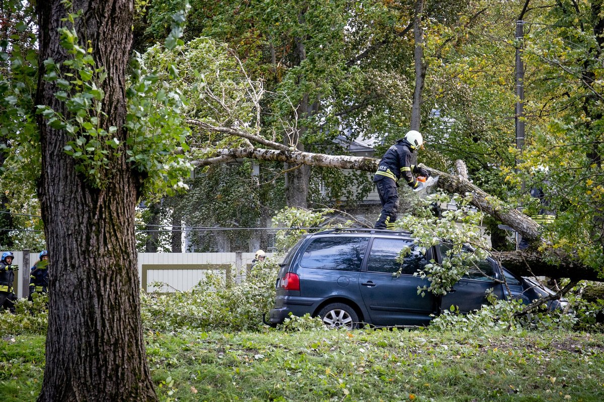 Фото в белье в контакте